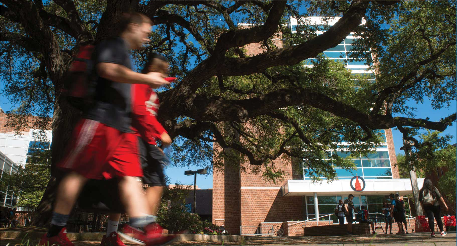 Landscape image of students walking on campus