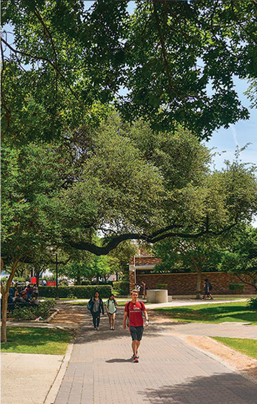 Students walking on campus